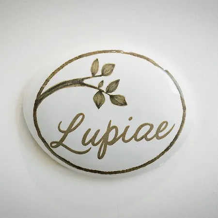 Ilice Bed & Breakfast